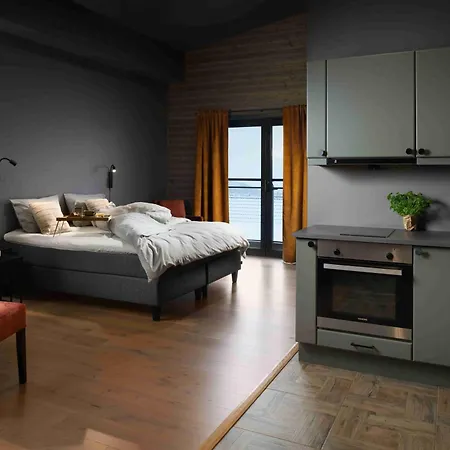 Ξενοδοχείο Riddergaarden & Mountain Lodge,