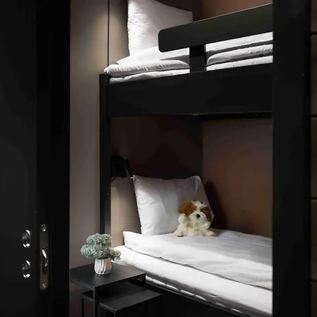 Hotel Riddergaarden & Mountain Lodge, 4*
