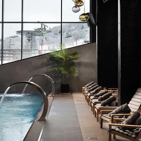 Ξενοδοχείο Riddergaarden & Mountain Lodge, 4*