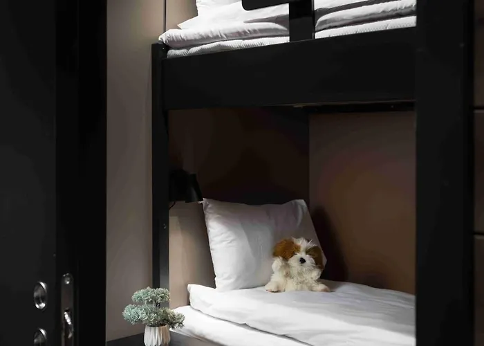 Hotel Riddergaarden & Mountain Lodge, 4*